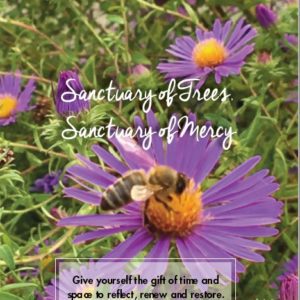 A bee on purple flower with text that reads sanctuary of trees, sanctuary of mercy.