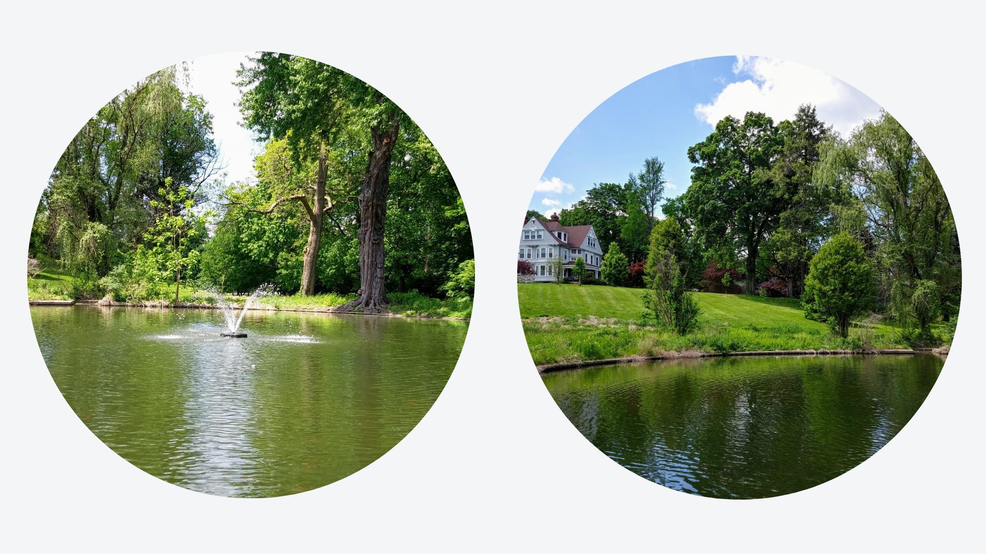 Two circles with a lake and trees in the middle