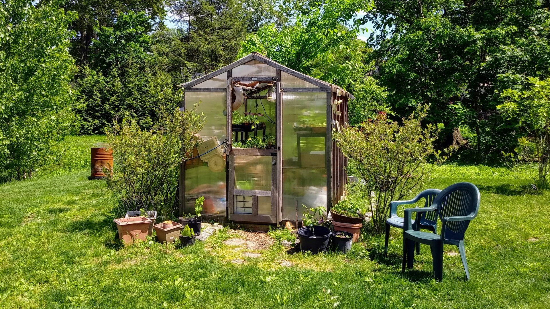 A small greenhouse in the middle of a garden.