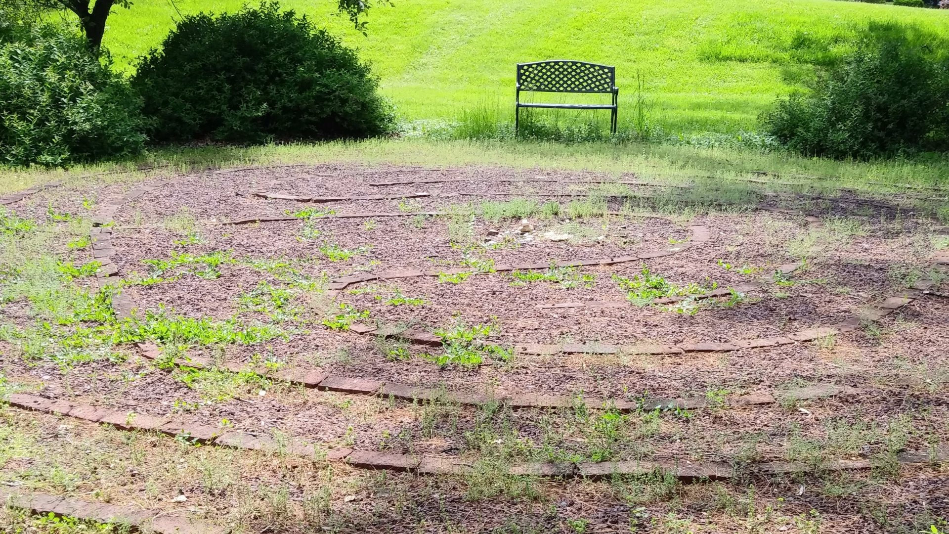 A bench in the middle of an empty field.