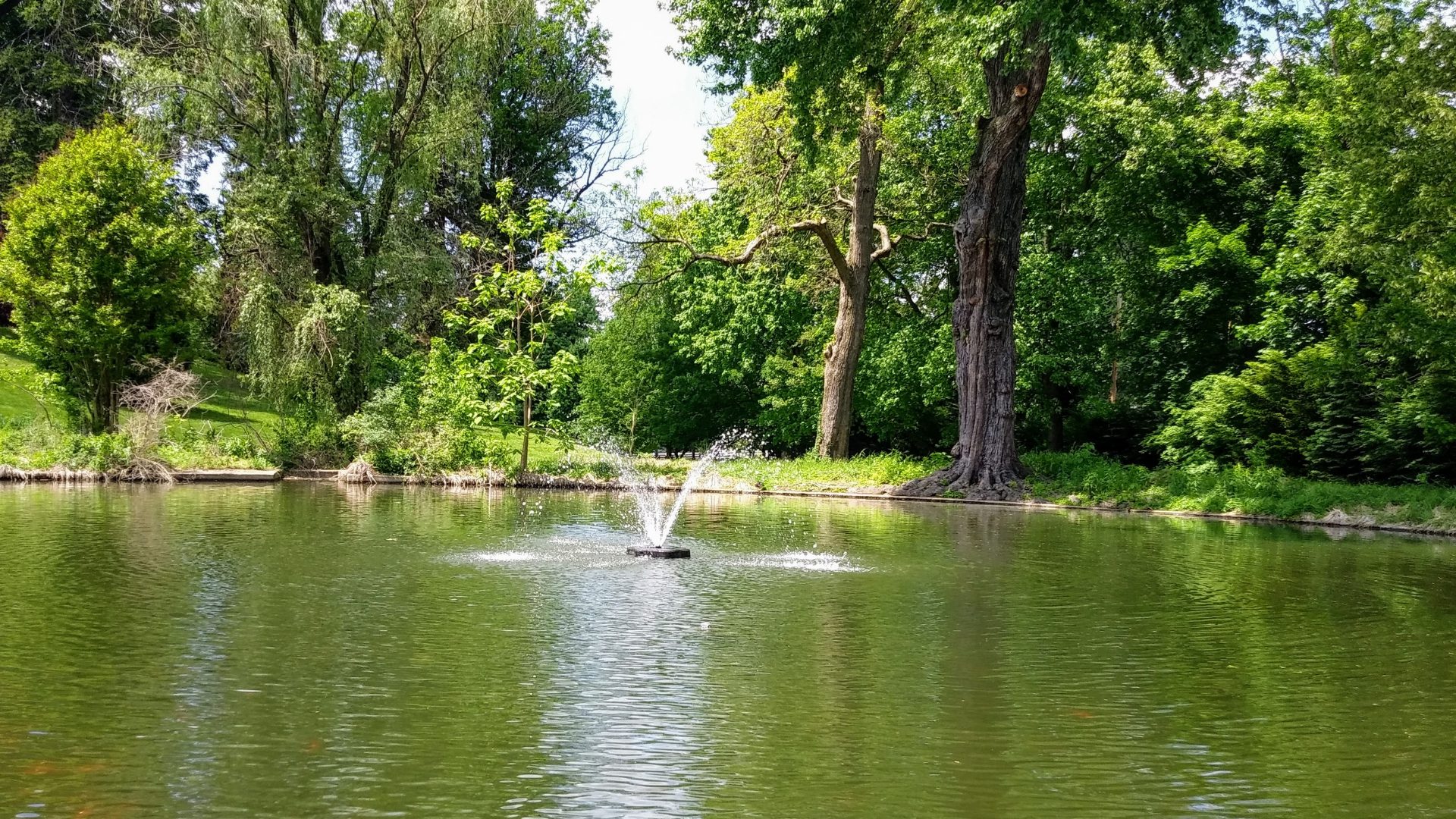 A fountain in the middle of a lake near trees.