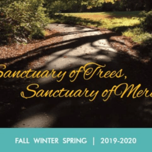 A picture of the cover of sanctuary of trees, sanctuary of mere.