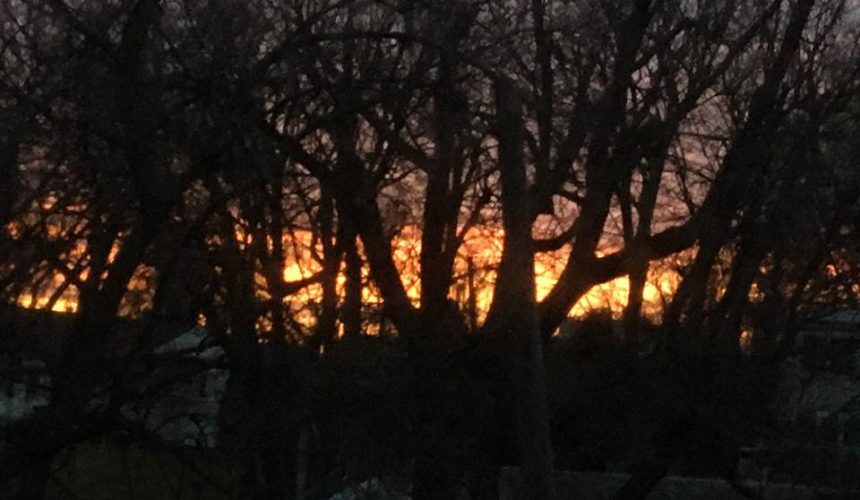 A view of the sun setting behind trees.