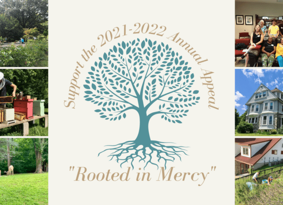 A tree with roots and the words " rooted in mercy ".