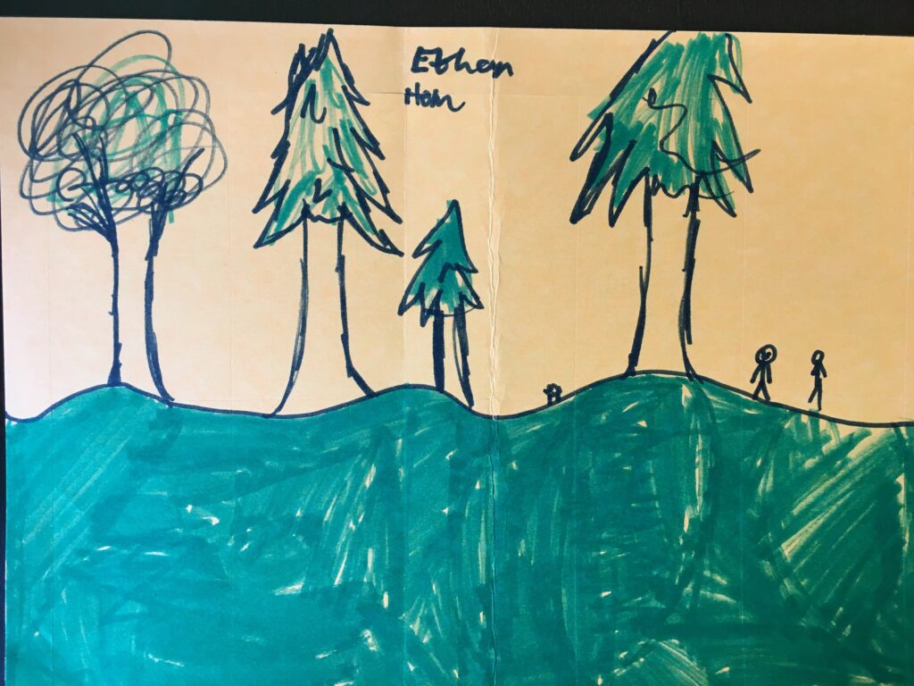 A drawing of trees and bushes on paper.