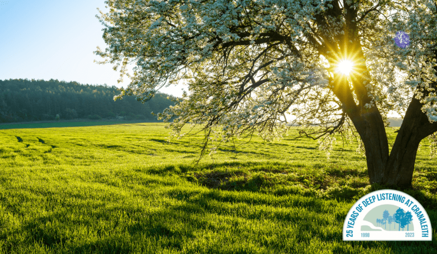 Sunlight streaming through a blossoming tree in a vibrant green field with clear skies and a forestry backdrop.