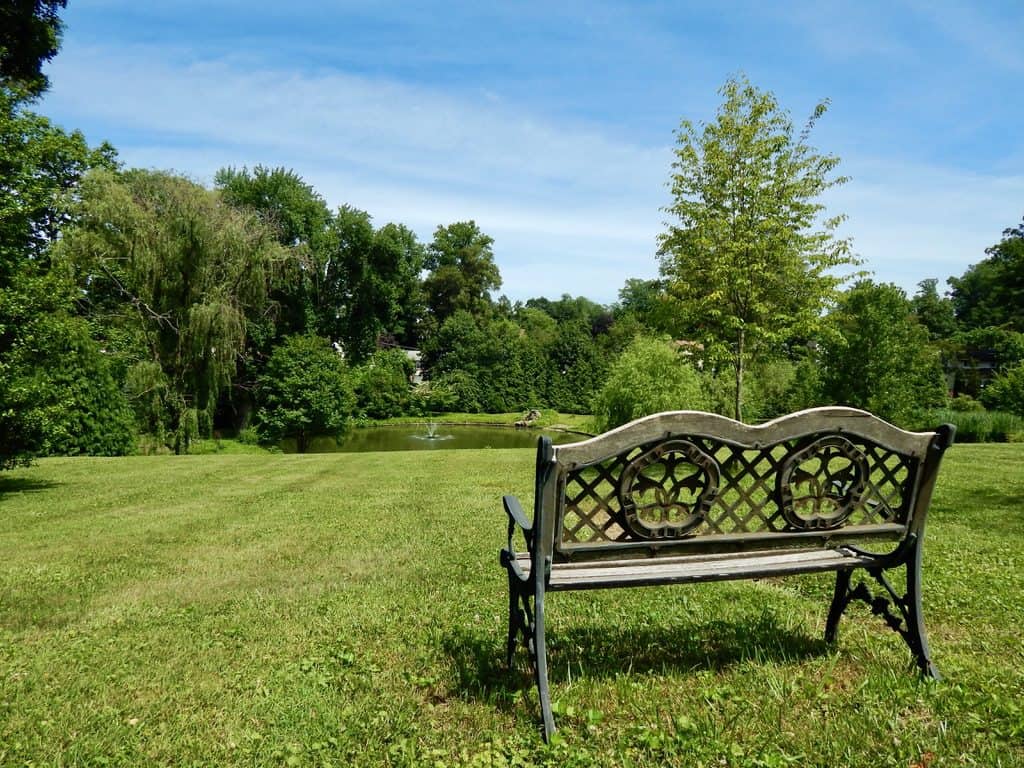 Bench with fountain in the distance.