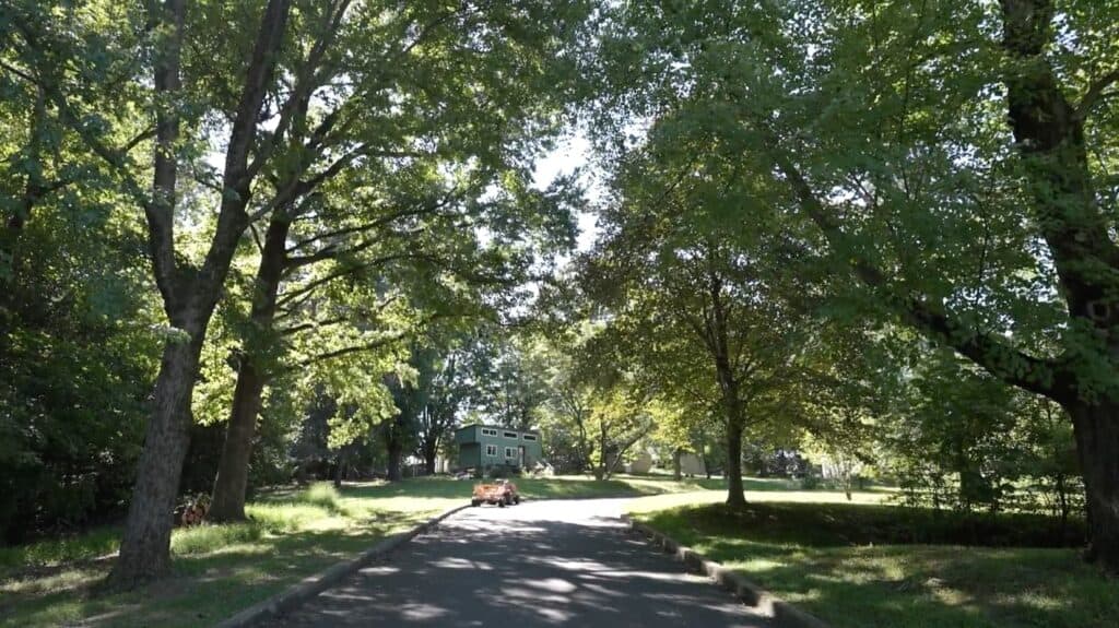 Cranaleith's trees and the path to the parking lot.