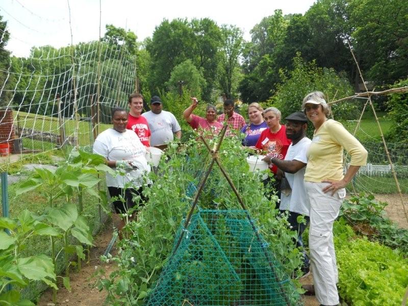 A group of people working in the garden.