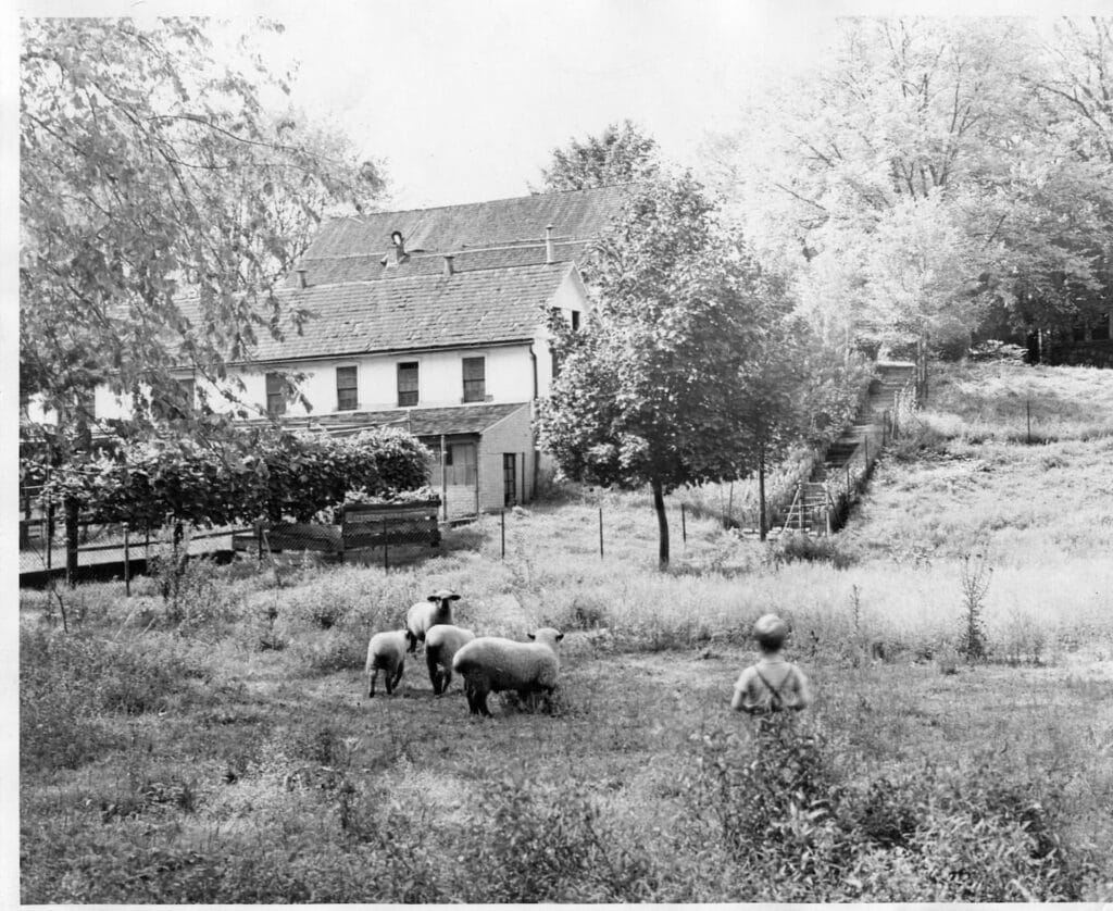 A kid on Cranaleith's grounds before it became Cranaleith, with animals and a house.