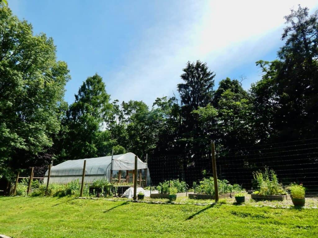 Cranaleith's garden, surrounded by trees and a beautiful blue and white sky.