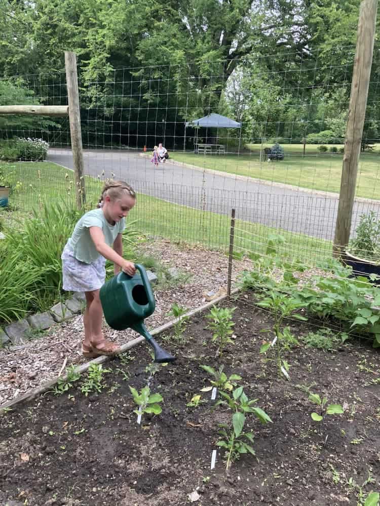 A Child watering plants in the Garden during Home and Garden Day.