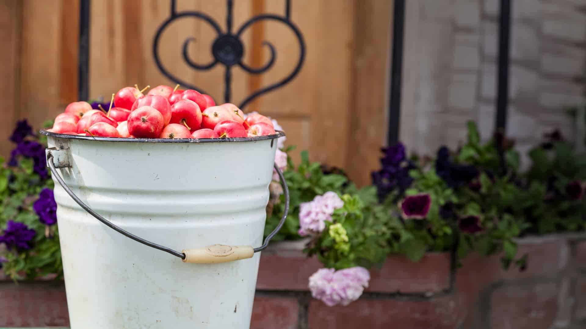 A bucket full of apples with bricks and flowers behind it.