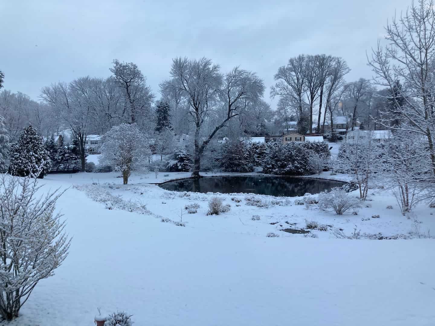 cranaleith snow (1)